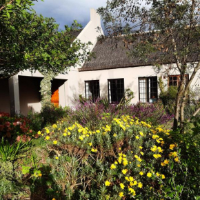 Country Studio